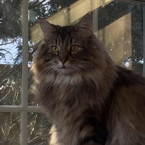 Meet your Posher, Maggie